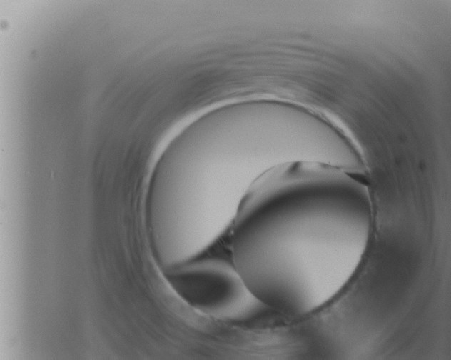 X0000062911516200601201923