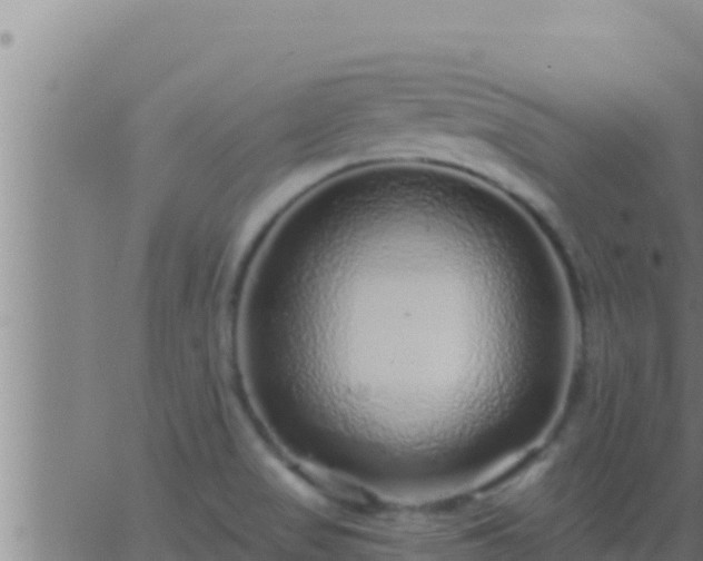 X0000062911517200601201923