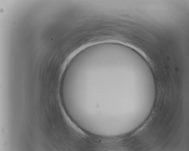 X0000062911518200601201923