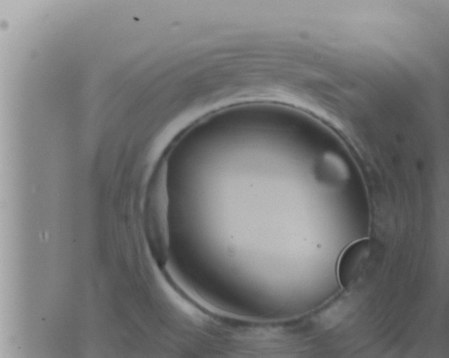 X0000062911519200601201923