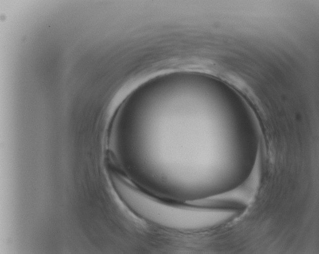 X0000062911520200601201923