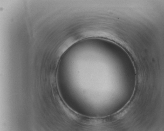 X0000062911521200601201923