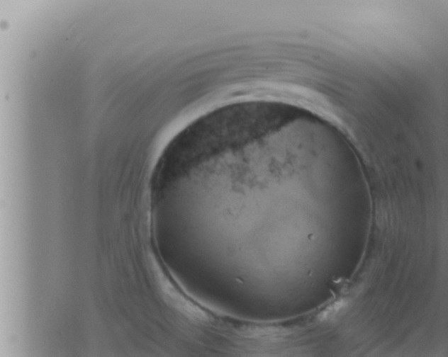 X0000062911522200601201923