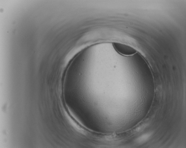 X0000062911523200601201923