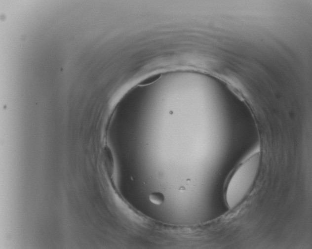 X0000062911524200601201923