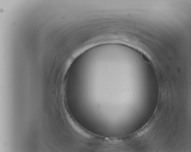 X0000062911526200601201923