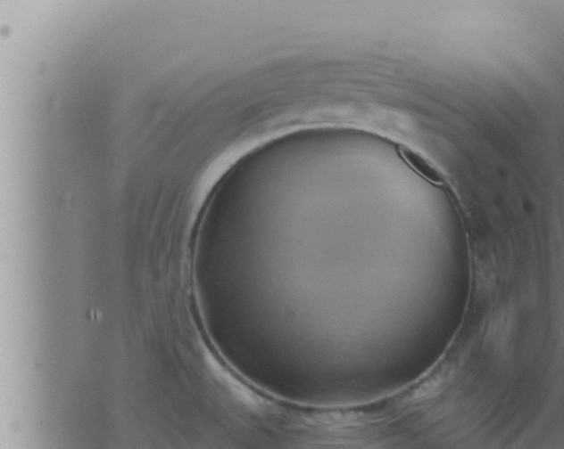 X0000062911527200601201923