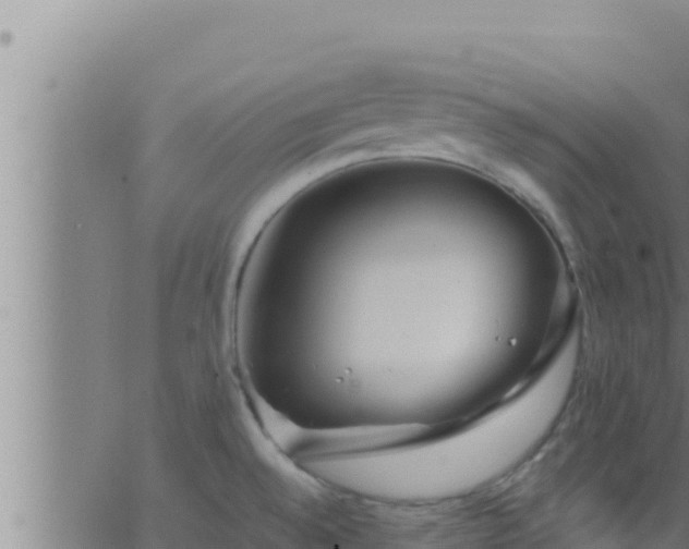 X0000062911528200601201923