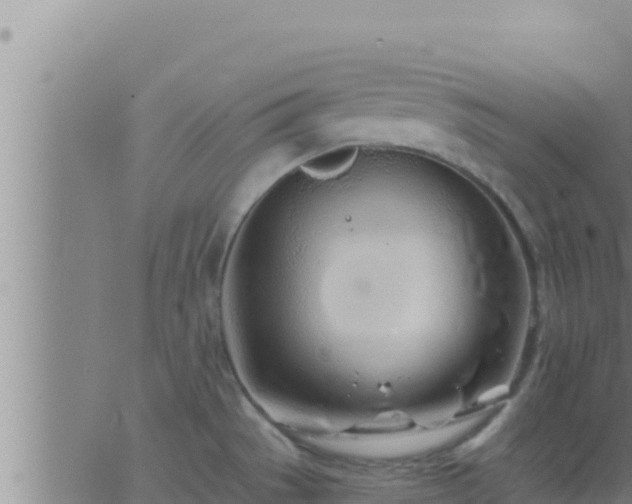 X0000062911529200601201923