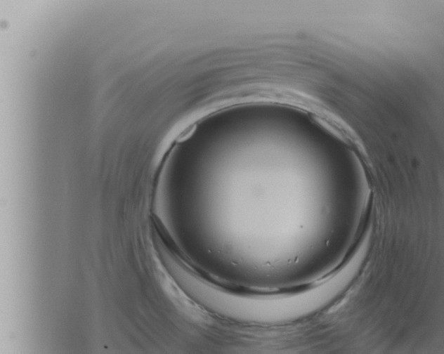 X0000062911530200601201923