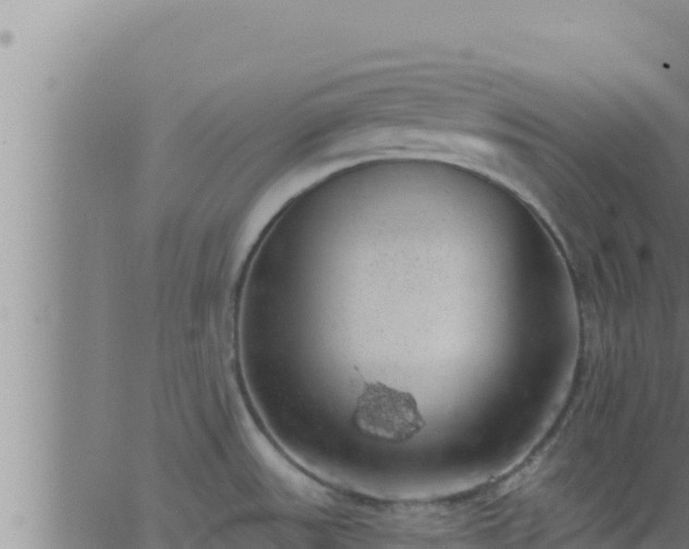 X0000062911531200601201923