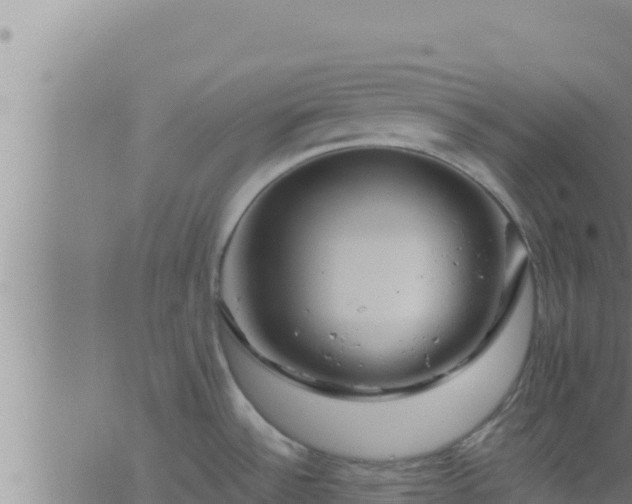 X0000062911532200601201923