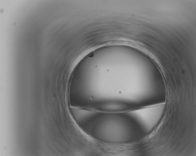 X0000062911533200601201923