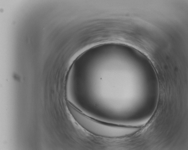 X0000062911534200601201923