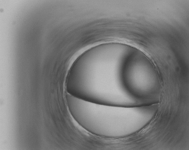 X0000062911535200601201923