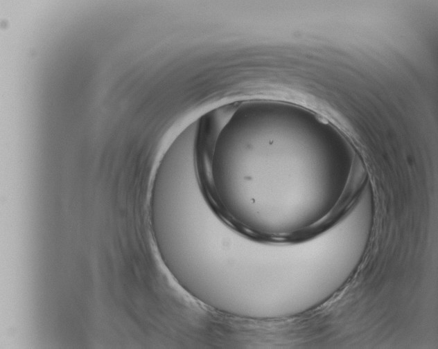 X0000062911536200601201923