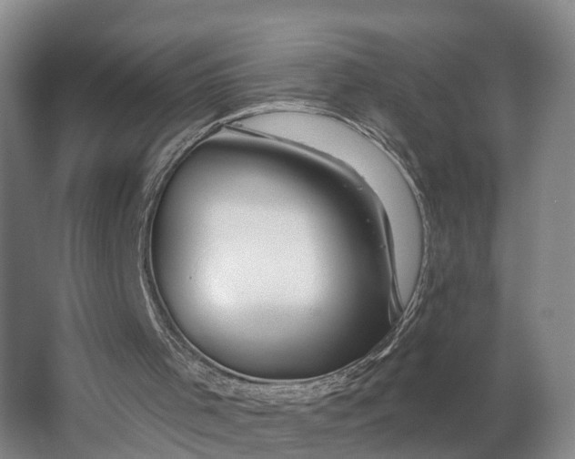 X0000062910001200601271751