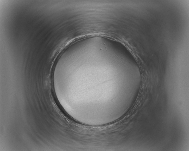 X0000062910002200601271751