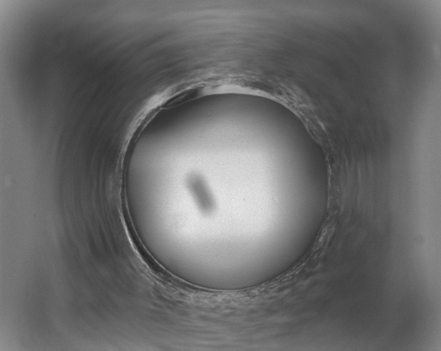 X0000062910003200601271751