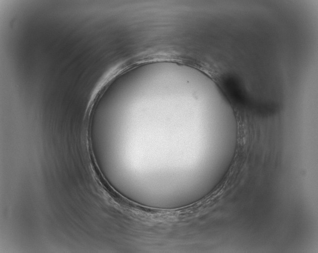 X0000062910004200601271751