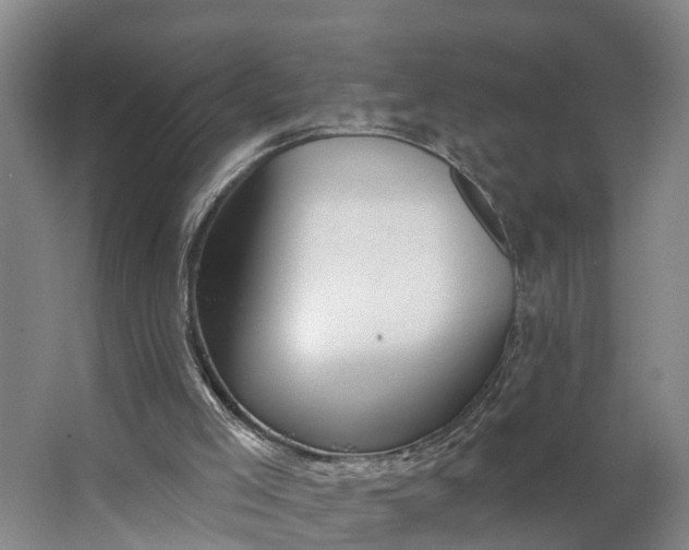 X0000062910005200601271751