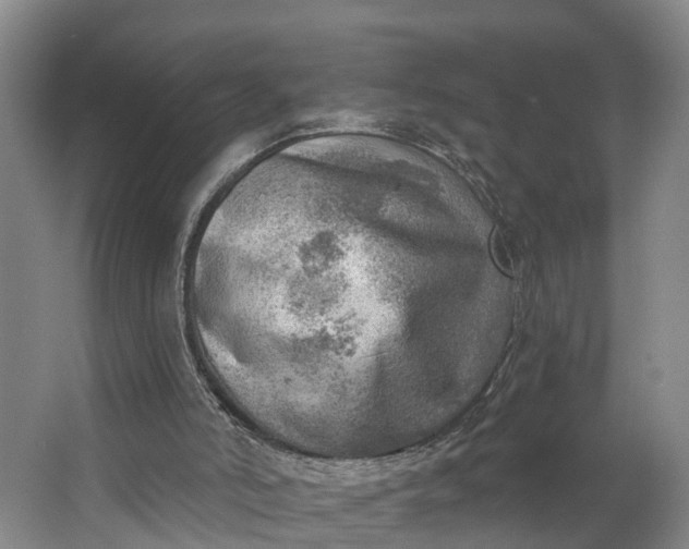 X0000062910006200601271751