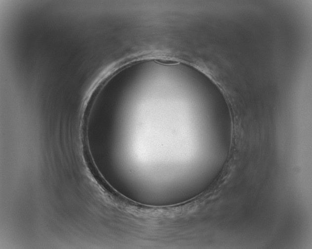 X0000062910007200601271751