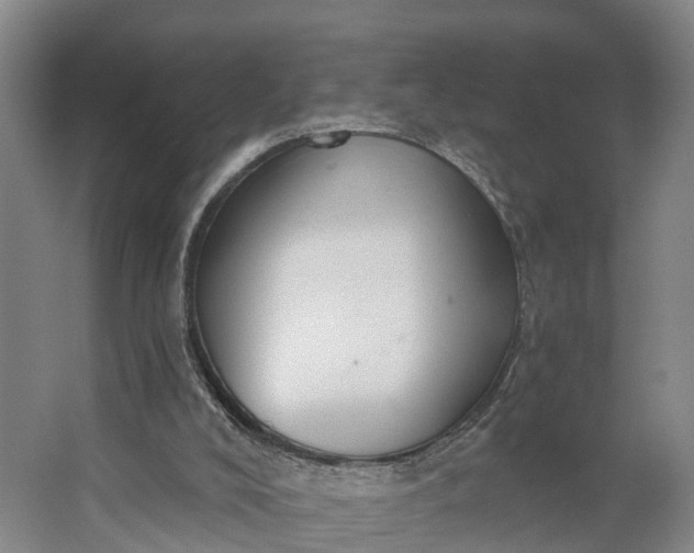 X0000062910008200601271751