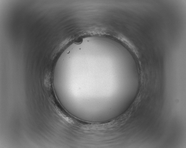 X0000062910009200601271751