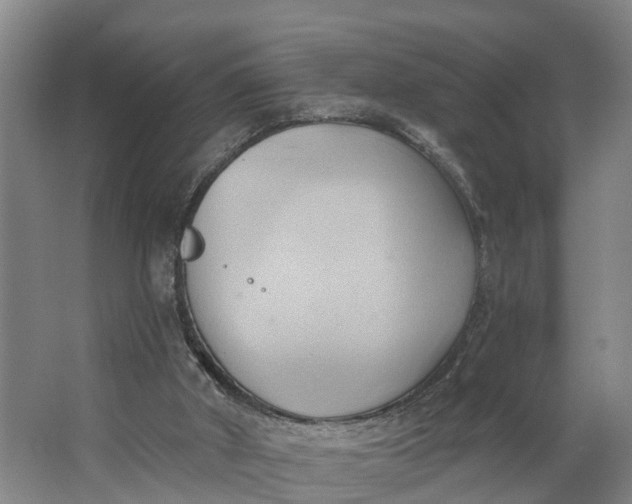 X0000062910010200601271751