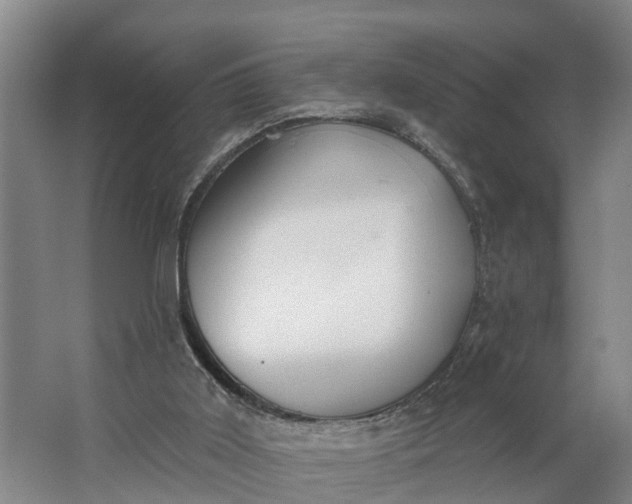 X0000062910011200601271751