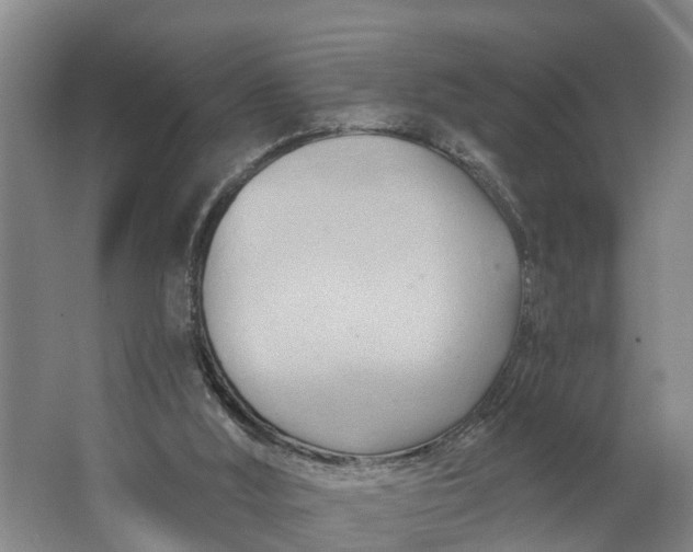 X0000062910012200601271751