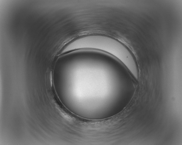 X0000062910013200601271751