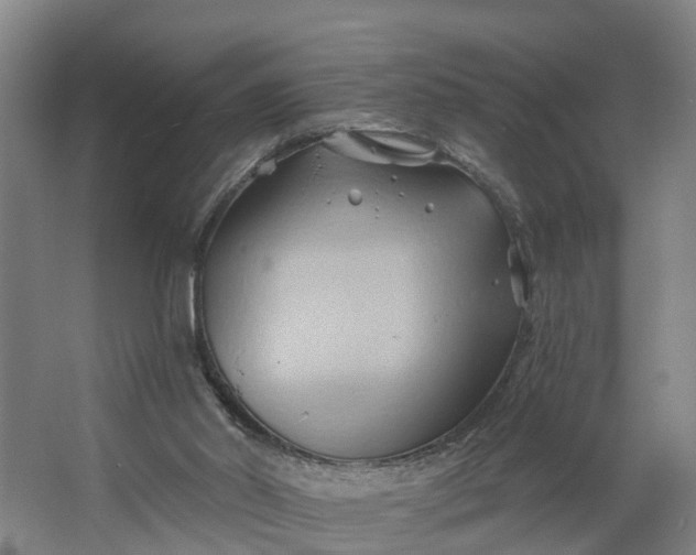 X0000062910014200601271751