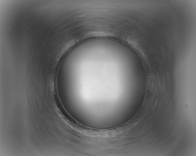 X0000062910015200601271751