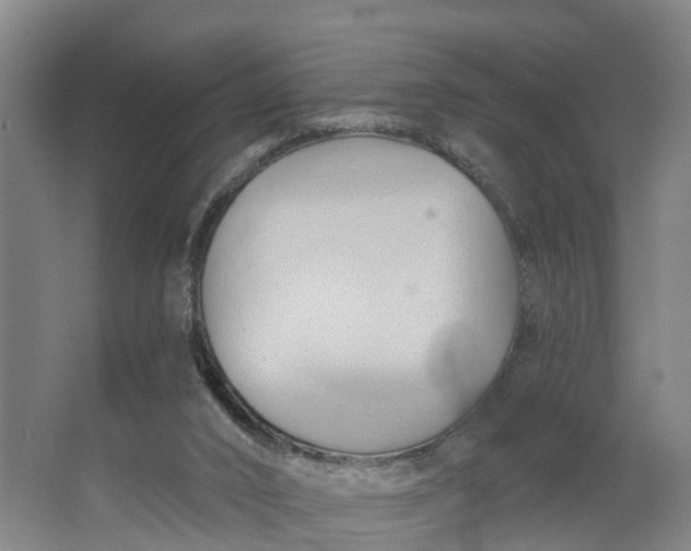 X0000062910016200601271751