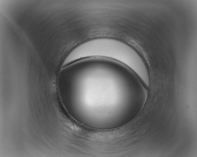 X0000062910017200601271751