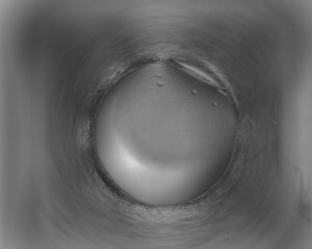 X0000062910018200601271751