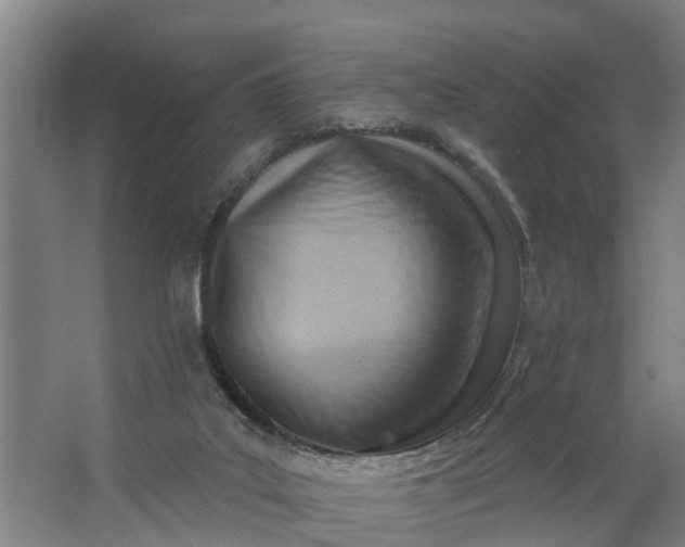 X0000062910019200601271751