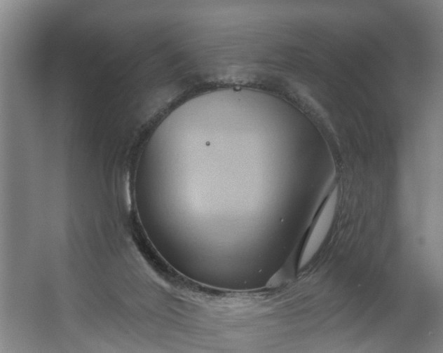 X0000062910020200601271751