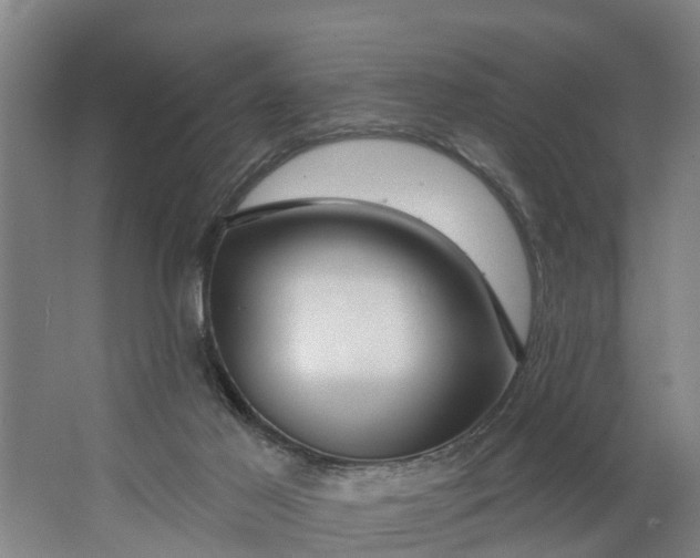 X0000062910021200601271751