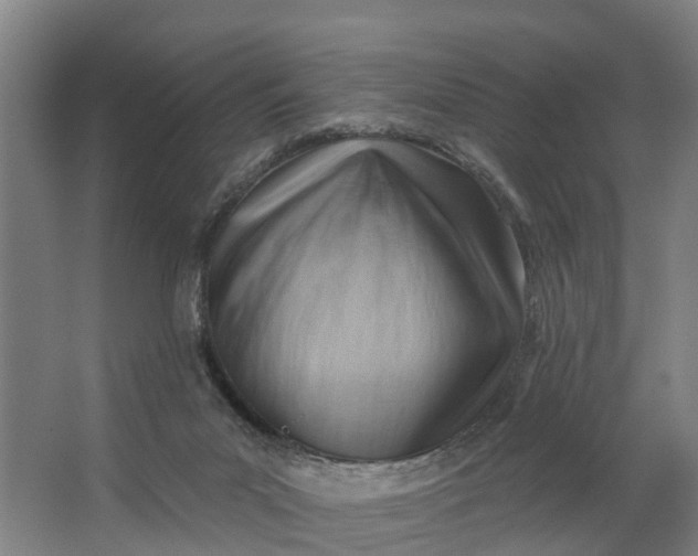 X0000062910023200601271751