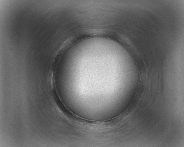 X0000062910024200601271751