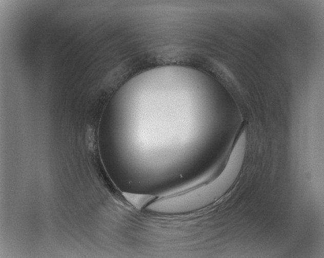 X0000062910025200601271751