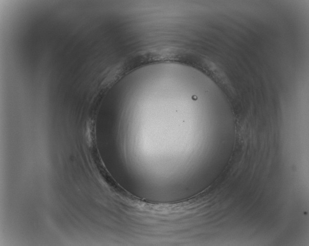 X0000062910026200601271751