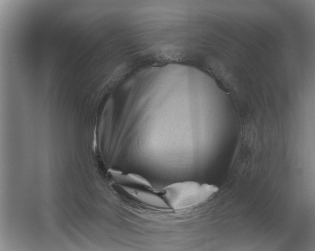 X0000062910027200601271751