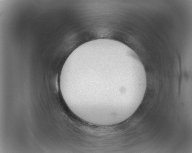 X0000062910028200601271751