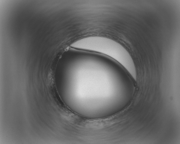 X0000062910029200601271751