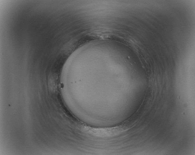 X0000062910030200601271751