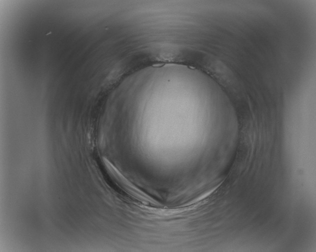 X0000062910031200601271751